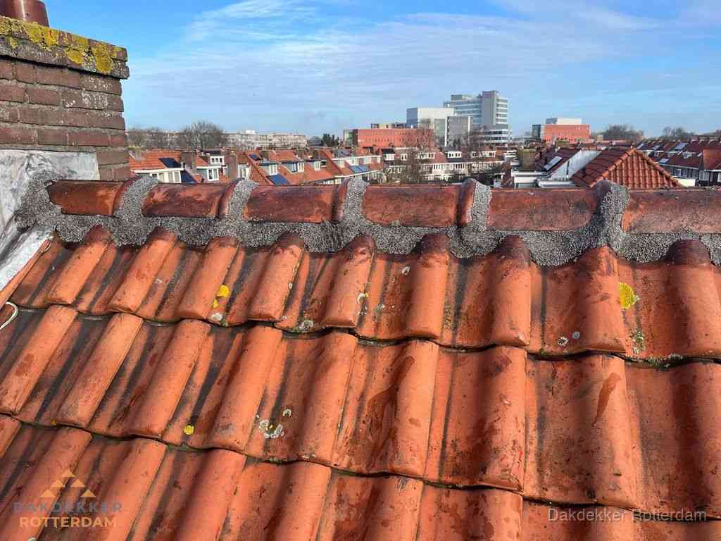 Rotterdam Daken Renoveren Rotterdam Daken Renoveren